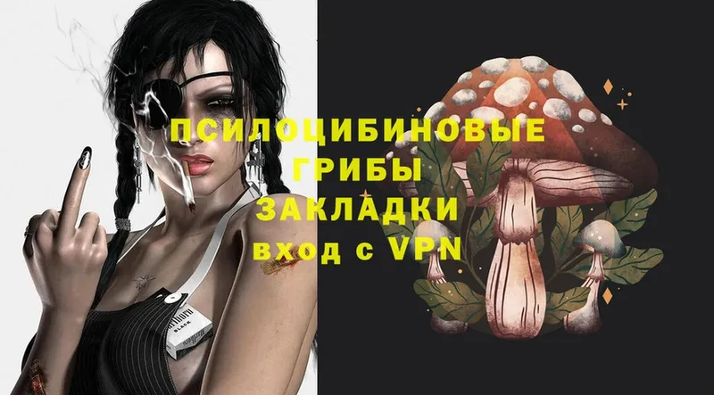 Псилоцибиновые грибы MAGIC MUSHROOMS  наркота  Нижнекамск 